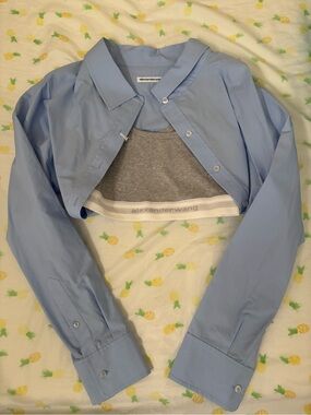 Alexander wang crop top